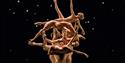 Ballet To Broadway, ROH