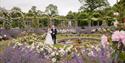 Great Fosters wedding couple in the rose garden