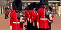 Coldstream Guards - Windsor Castle