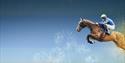 New Years Day Racing at Royal Windsor