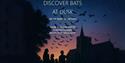 Guided Bat Watch Flyer