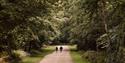 Windsor Great Park near Fox Hollow Cottage ©HollyFarrier