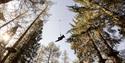Go Ape Bracknell