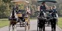 Windsor Carriages group in Windsor Great Park, image Crispin Mould Horse Photography