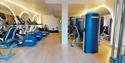 Hilton London Heathrow Airport Terminal 5 - Gym