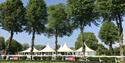 Parade Ring at Windsor Races