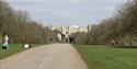 The Long Walk and Windsor Castle