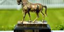 Jaipur Trophy