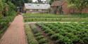 The Olde Bell kitchen gardens