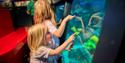 Brick Days at LEGOLAND® Windsor | children looking at underwater scenes
