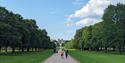The Long Walk and Windsor Castle, image courtesy Windsor & Eton PhotoArt