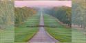 Windsor Great Park, image Gill Heppell