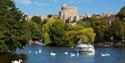 Riverside Cruises - boat sailing past Windsor Castle surrounded by swans