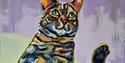 Roseanna Chetwood Yoga Cat