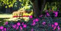 The Savill Garden Herbaceous Borders