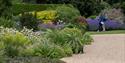 The Savill Garden in June