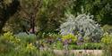 The Savill Garden