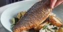 Côte Brasserie Windsor seabream nantais