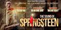 The Sound of Springsteen poster