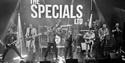 The Specials Ltd - performing on stage ©Shavorne Wilbraham