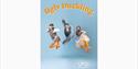 The Ugly Duckling