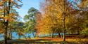 Windsor Great Park: Virginia Water walkers