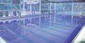 Macdonald Berystede Hotel & Spa: Vital Swimming Pool