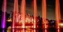 Windsor Great Park Illuminated, image credit Joshua Atkins