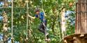 Go Ape Bracknell | boy on treetop challenge