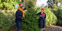 Family selecting a Christmas tree
