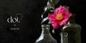 flowers in a vase