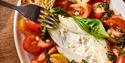 Burrata on top of a tomato mixture, pesto and bread