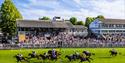 Royal Windsor Racecourse