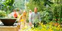 Visitors in The Queen Elizabeth Temperate House at The Savill Garden