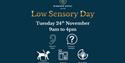 Low sensory day at Windsor Royal infographic