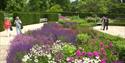 The Savill Garden Rose Garden