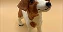 Susan Horler Cloaked In Clay Jack Russell