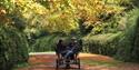 Ascot Carriages in autumn