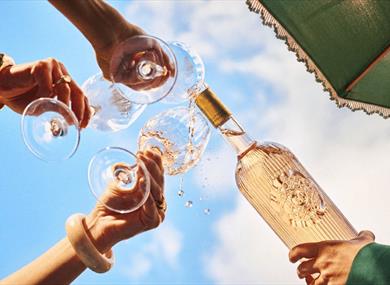 Wine and hands holding glasses