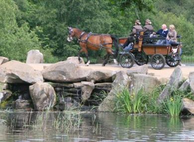 Ascot Carriages
