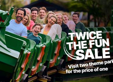Twice the fun sale