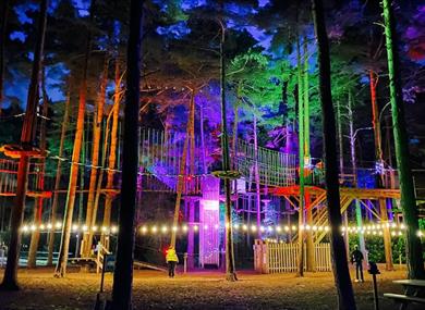 Sundown adventures at Go Ape