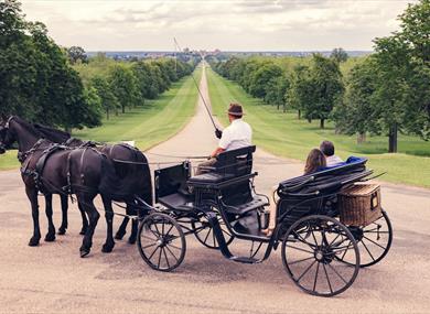 Windsor Carriages Crown Experience at top of The Long Walk