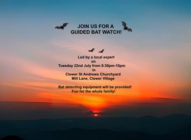 Guided Bat Watch Flyer
