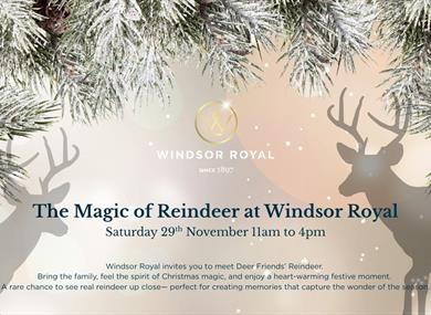 The Magic of Reindeer at Windsor Royal