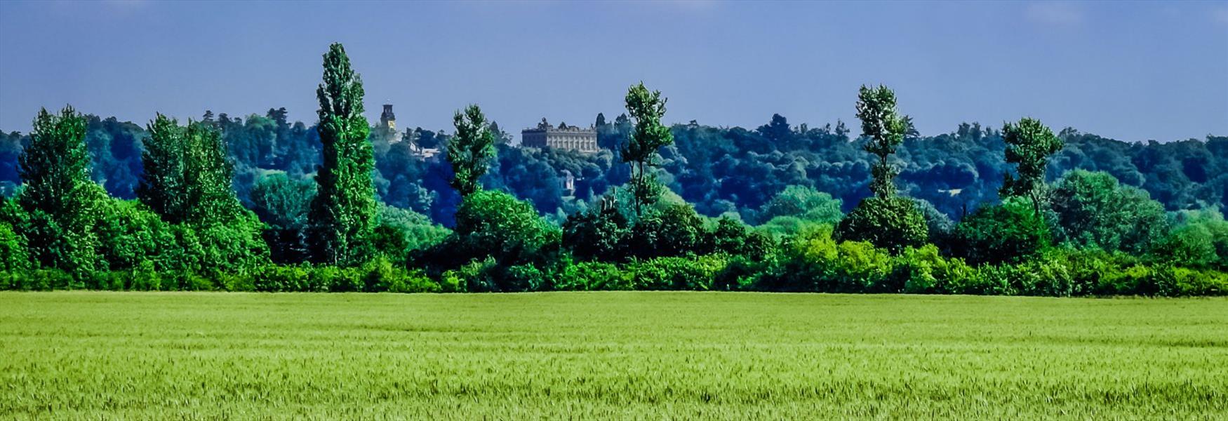 Views of Cliveden from Maidenhead