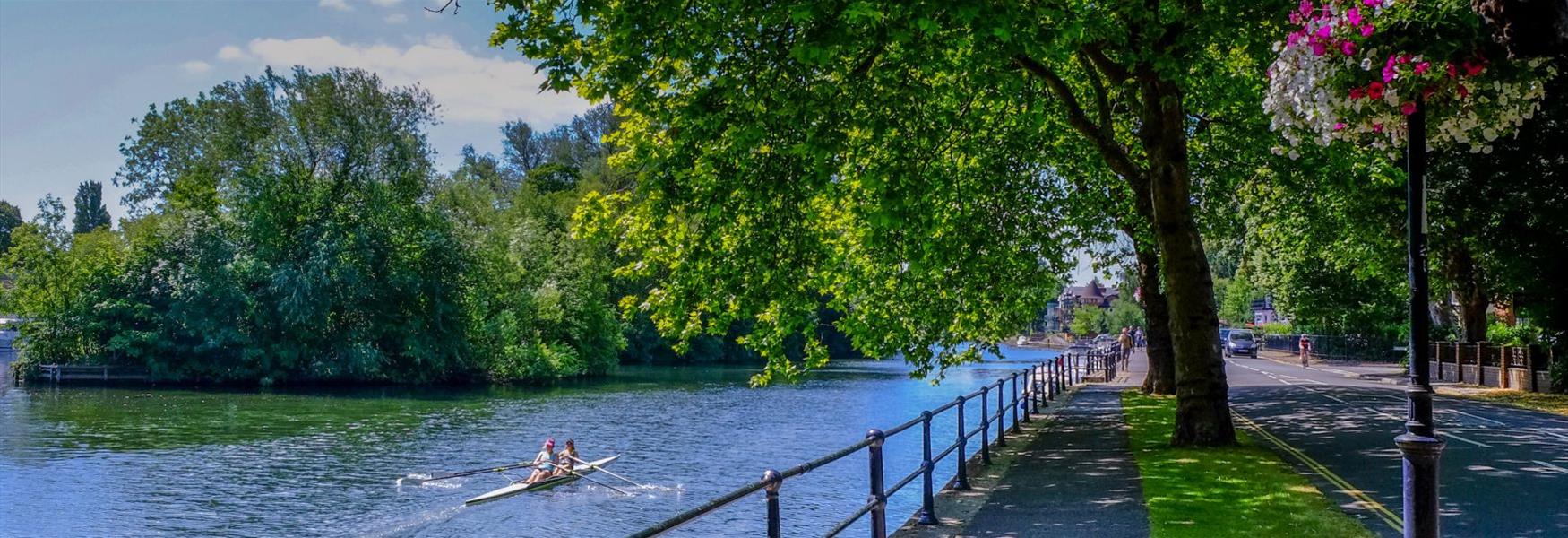 Rowers on the River Thames at Maidenhead Riverside