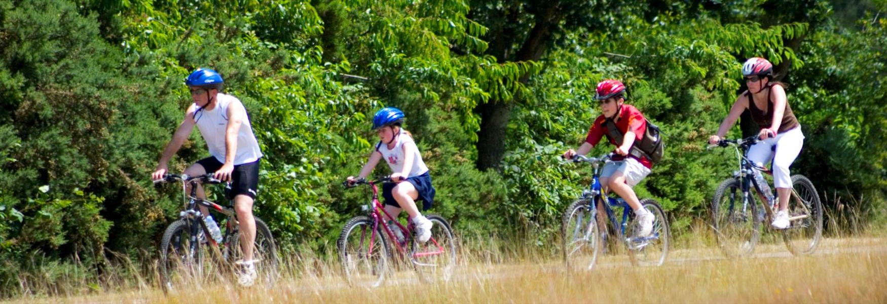 Cycling in Windsor Great Park