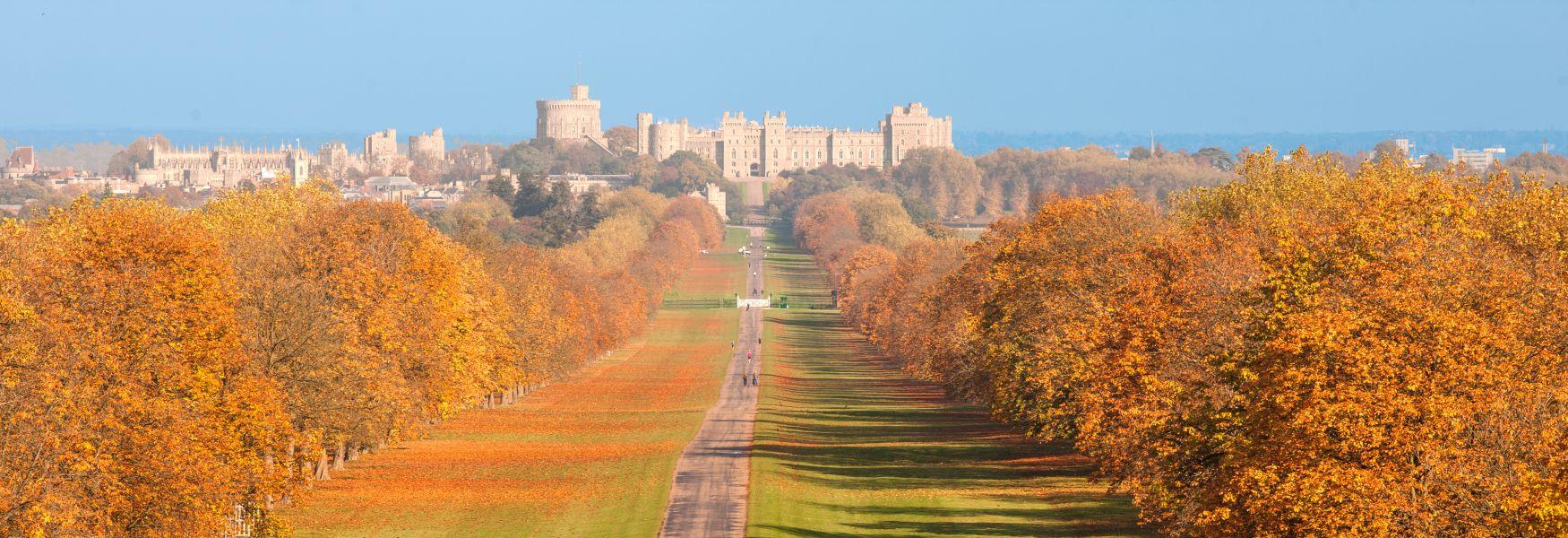 The Long Walk, Windsor Great Park, with view of Windsor Castle