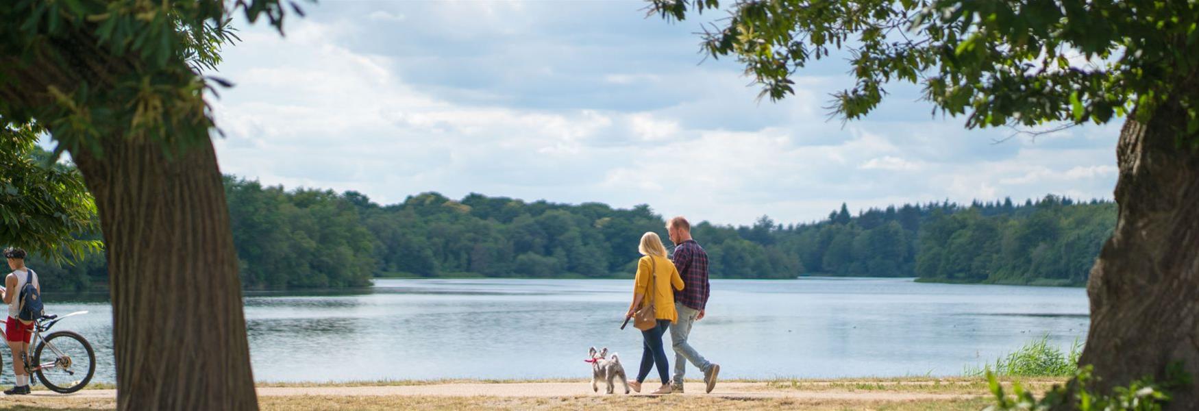 Two people walking their dog at Virginia Water, Windsor Great Park